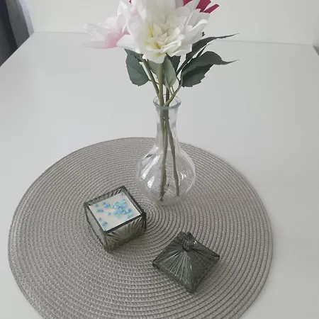 Apartman Mimoza Zvornik